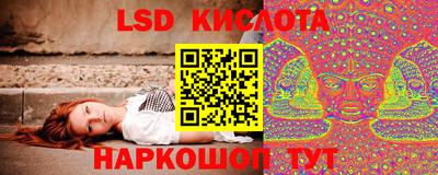 гидропоника Сланцы